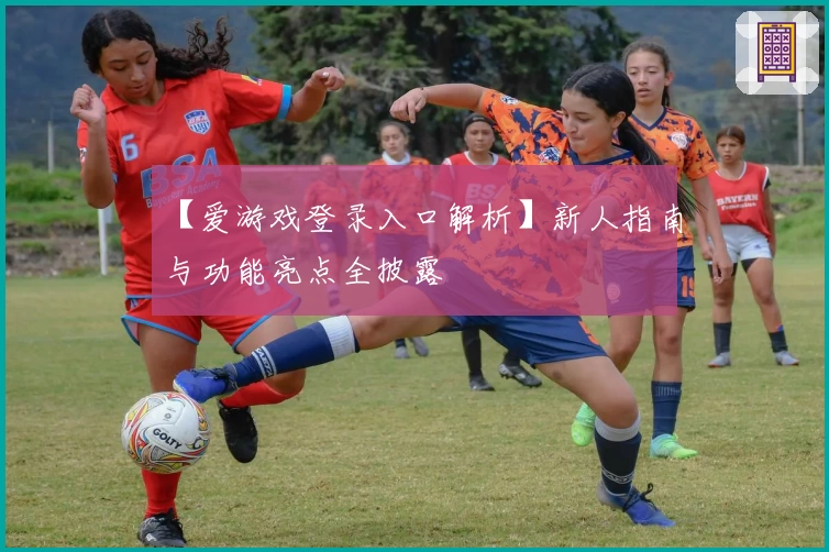 【爱游戏登录入口解析】新人指南与功能亮点全披露