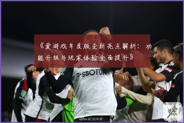 《爱游戏年度版全新亮点解析：功能升级与玩家体验全面提升》