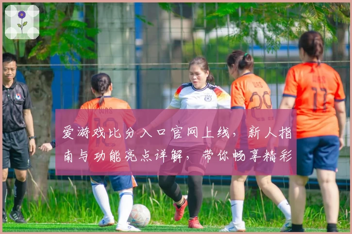 爱游戏比分入口官网上线，新人指南与功能亮点详解，带你畅享精彩赛事数据